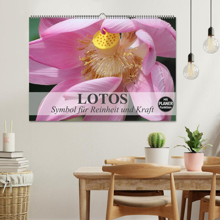 Lotus. Symbole de pureté et de puissance (calendrier mural CALVENDO 2024) 