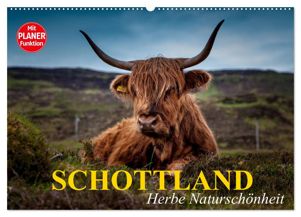 Schottland. Herbe Naturschönheit (CALVENDO Wandkalender 2024)