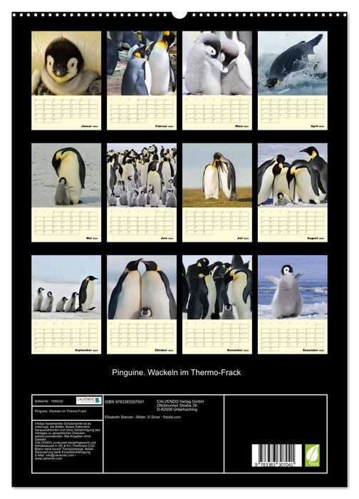 Pinguine. Wackeln im Thermo-Frack (CALVENDO Premium Wandkalender 2024)