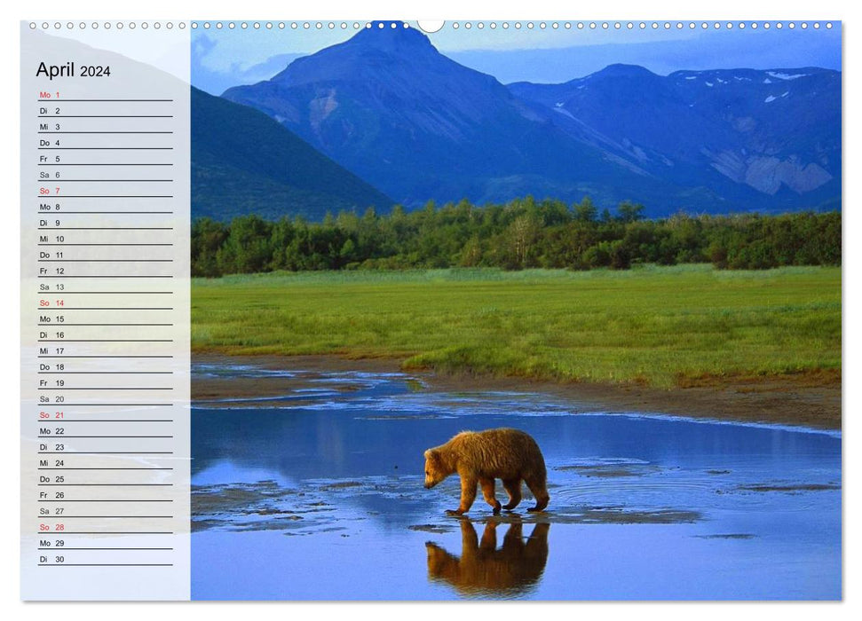 Alaska - Weites Land (CALVENDO Wandkalender 2024)