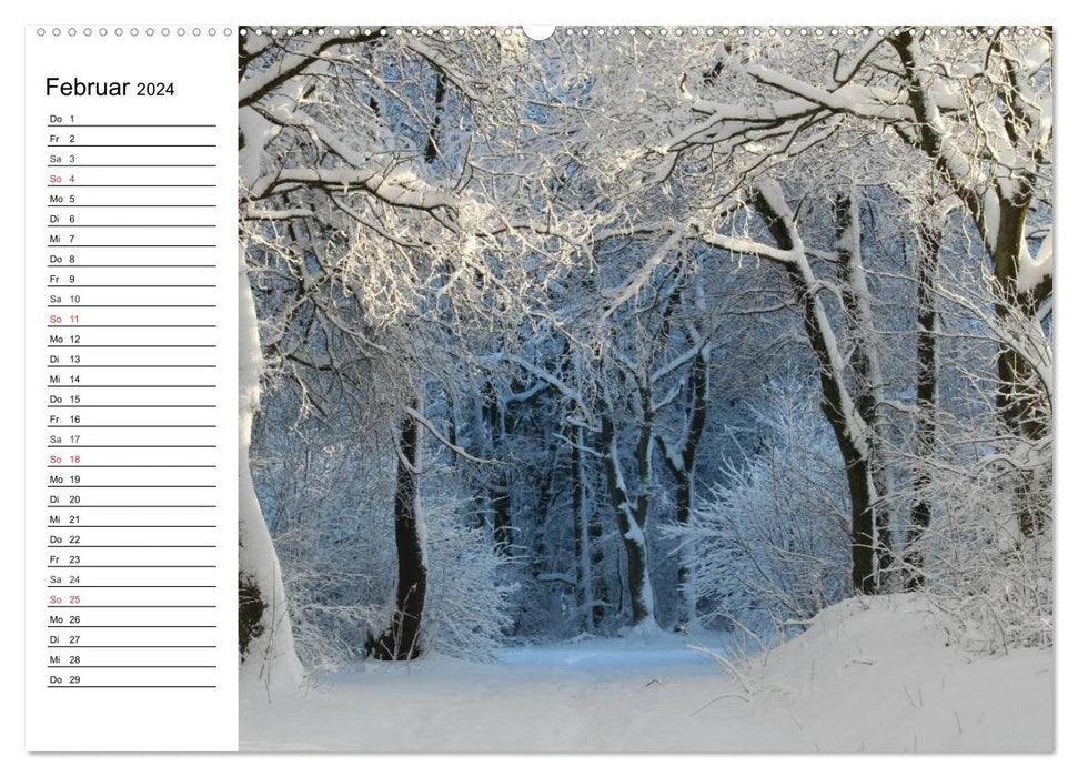 Conte de fées d'hiver. Paysages dans la neige (Calendrier mural CALVENDO Premium 2024) 