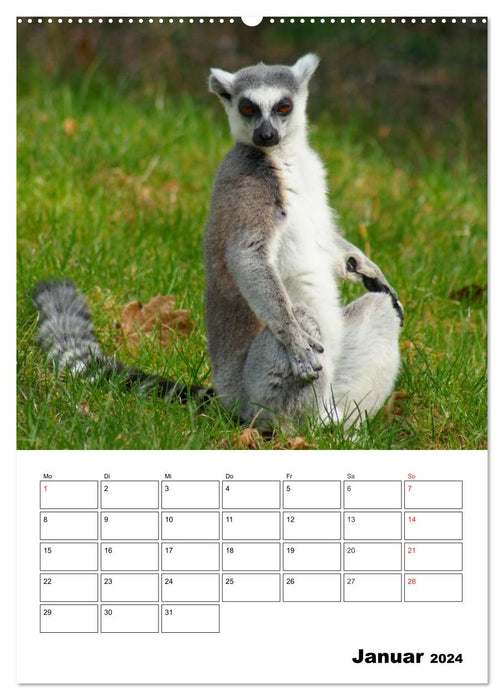 Katta Terminplaner (CALVENDO Premium Wandkalender 2024)