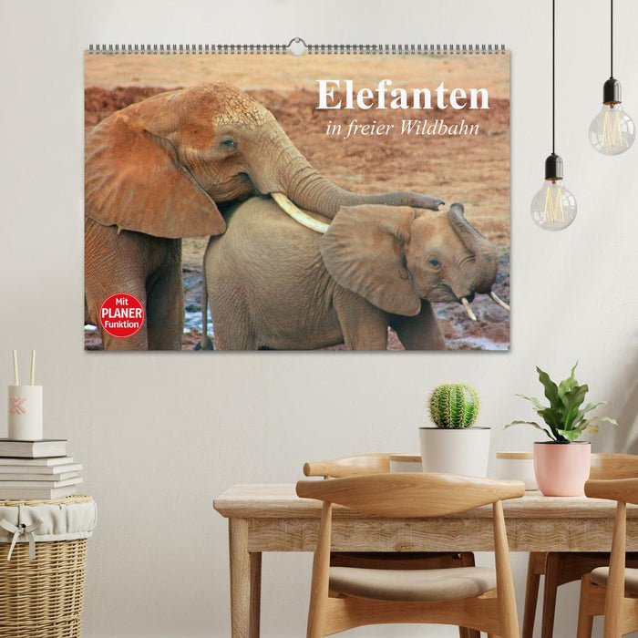 Éléphants dans la nature (Calendrier mural CALVENDO 2024) 