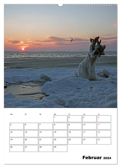Ostsee. Urlaubsfeeling pur (CALVENDO Premium Wandkalender 2024)
