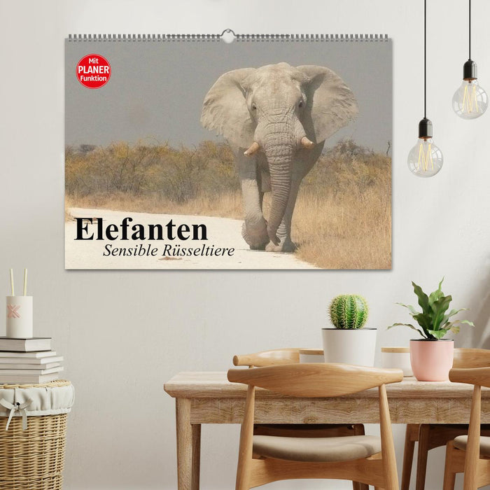 Elefanten. Sensible Rüsseltiere (CALVENDO Wandkalender 2024)