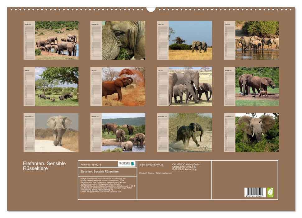 Elefanten. Sensible Rüsseltiere (CALVENDO Wandkalender 2024)