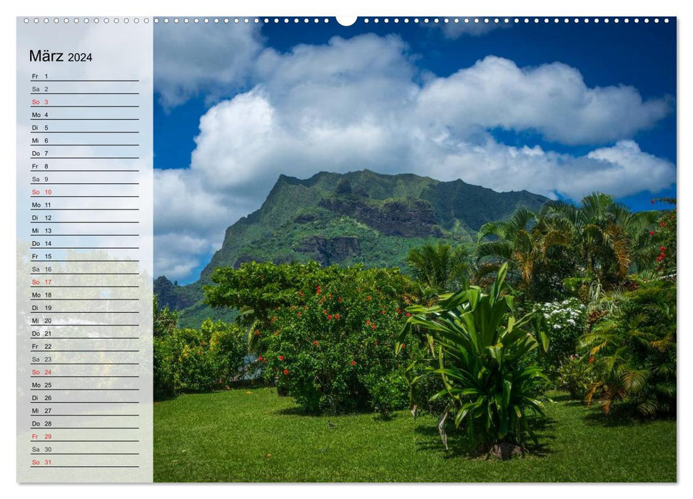 Rêves des mers du Sud. Paradis du Pacifique (Calendrier mural CALVENDO 2024) 