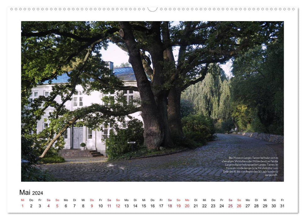 Rosenstadt Uetersen (CALVENDO Premium Wandkalender 2024)