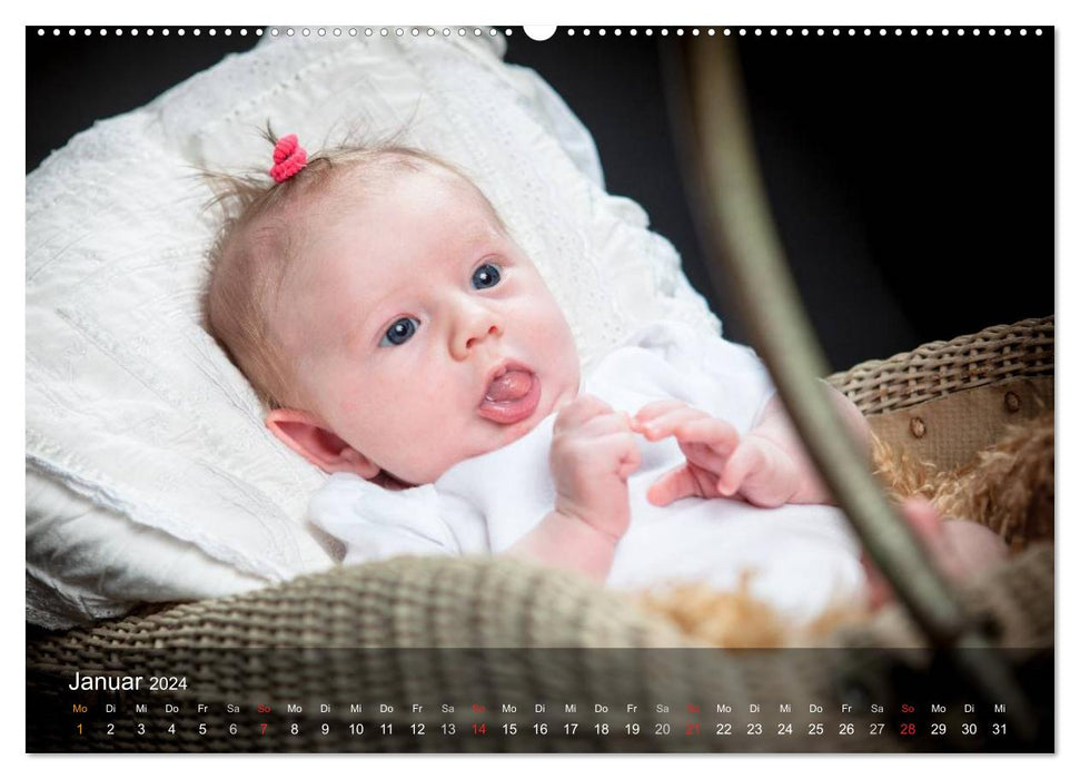 Babys - so süße (CALVENDO Premium Wandkalender 2024)