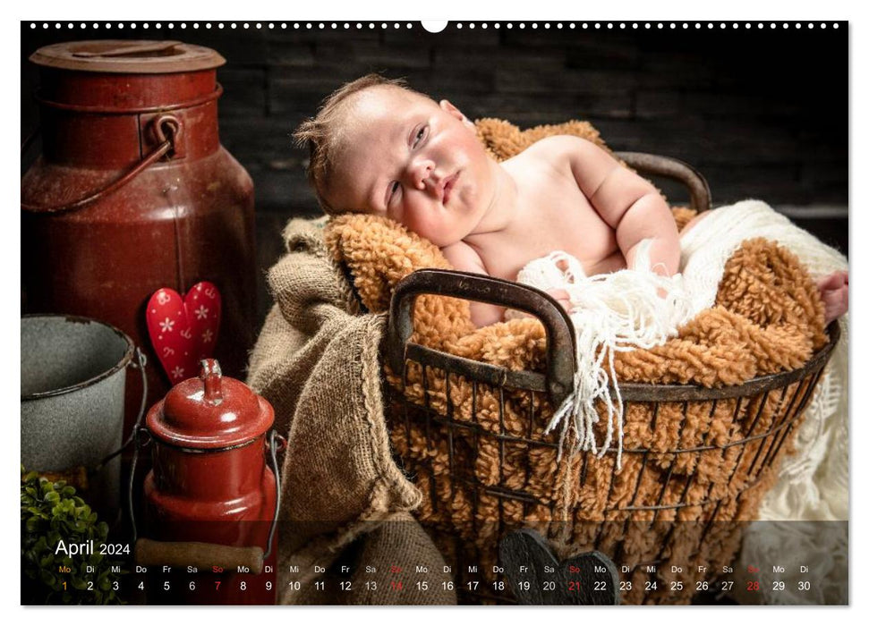 Babys - so süße (CALVENDO Premium Wandkalender 2024)