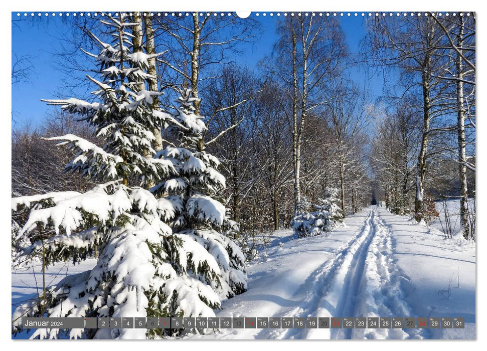 Les chemins trouvent toujours une destination (Calendrier mural CALVENDO Premium 2024) 