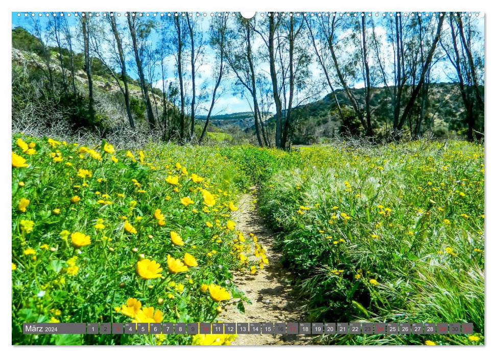 Les chemins trouvent toujours une destination (Calendrier mural CALVENDO Premium 2024) 