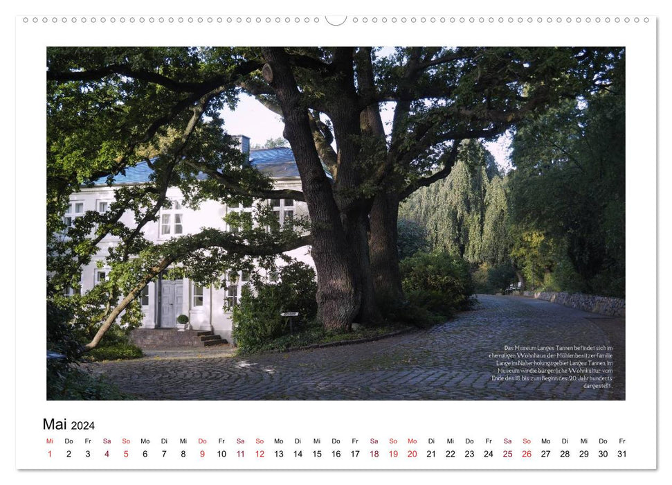 Rosenstadt Uetersen (CALVENDO Wandkalender 2024)