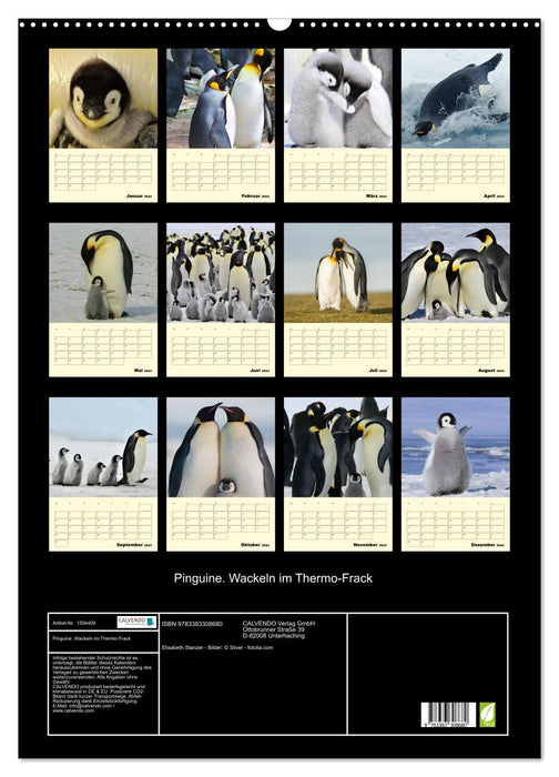 Pingouins. Secouer dans un manteau thermique (calendrier mural CALVENDO 2024) 