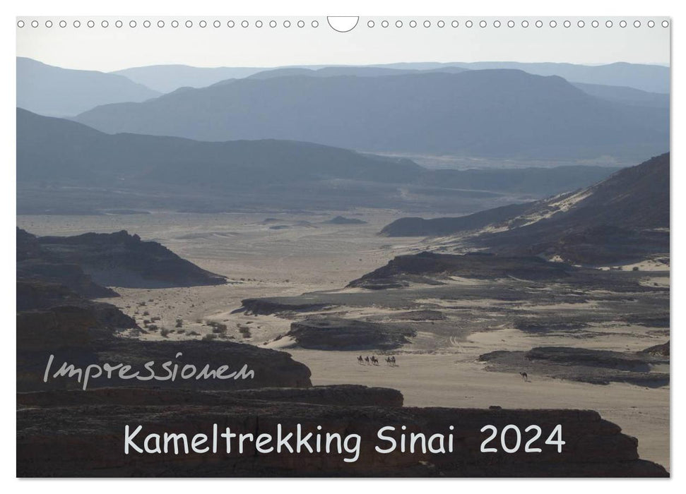 Impressions randonnée chamelière Sinaï 2024 (calendrier mural CALVENDO 2024) 