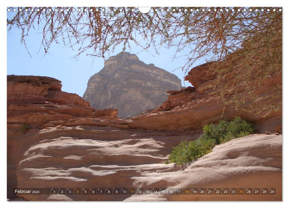 Impressionen Kameltrekking Sinai 2024 (CALVENDO Wandkalender 2024)