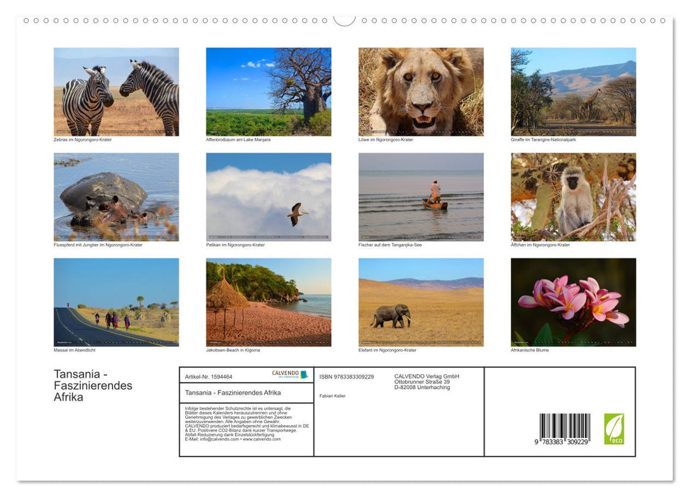 Tanzanie - L'Afrique fascinante (Calvendo Premium Wall Calendar 2024) 