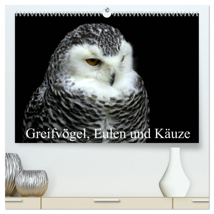 Oiseaux de proie, hiboux et hiboux (Calvendo Premium Wall Calendar 2024) 