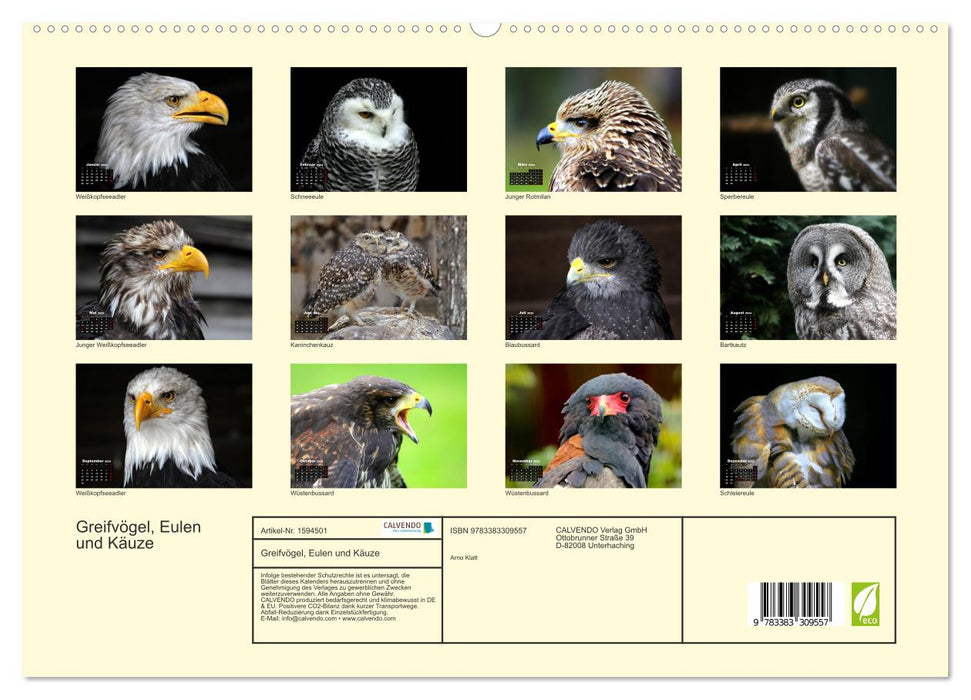 Greifvögel, Eulen und Käuze (CALVENDO Premium Wandkalender 2024)