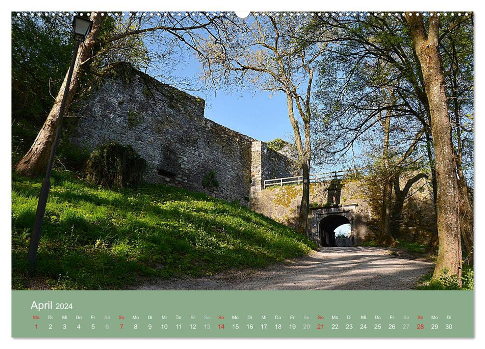 Königstein im Taunus et ses environs (Calendrier mural CALVENDO Premium 2024) 