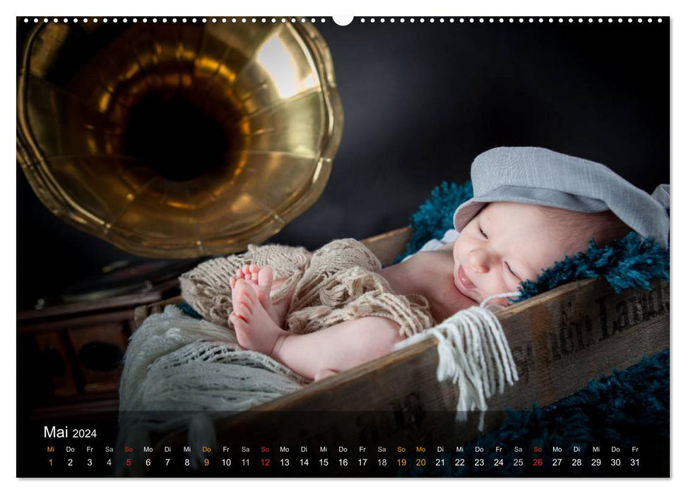 Babys - so süße (CALVENDO Wandkalender 2024)
