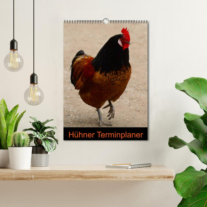 Planificateur de rendez-vous poulet (calendrier mural CALVENDO 2024) 