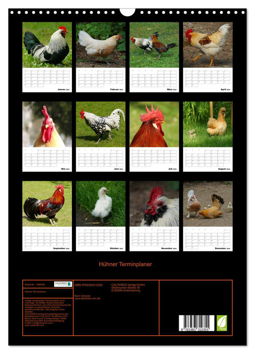 Planificateur de rendez-vous poulet (calendrier mural CALVENDO 2024) 