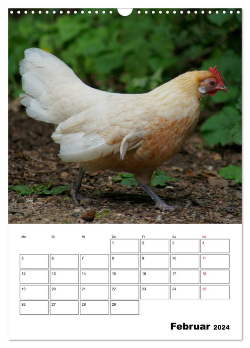 Hühner Terminplaner (CALVENDO Wandkalender 2024)