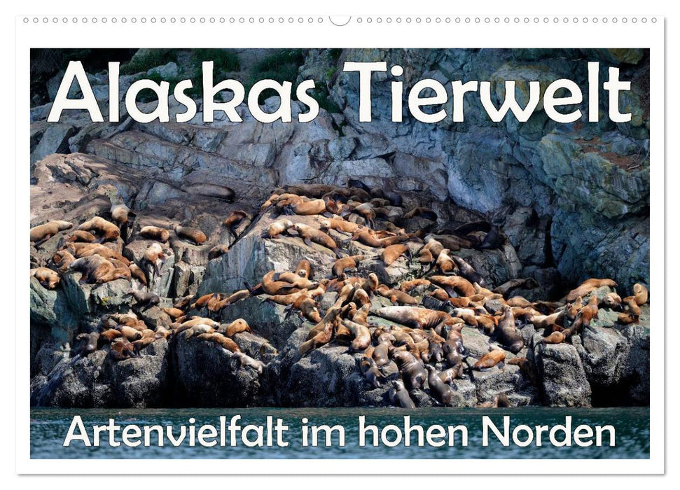 Faune de l'Alaska - biodiversité dans l'extrême nord (calendrier mural CALVENDO 2024) 