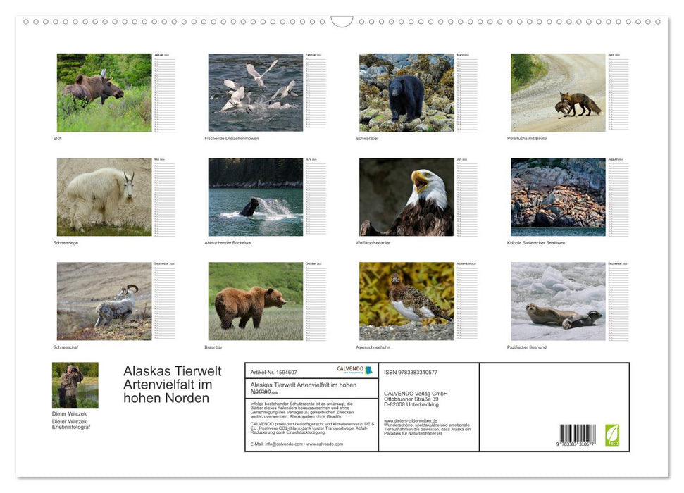 Alaskas Tierwelt - Artenvielfalt im hohen Norden (CALVENDO Wandkalender 2024)