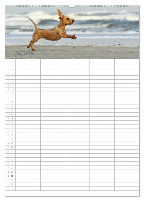 Hundeplaner für wichtige Ereignisse (CALVENDO Premium Wandkalender 2024)