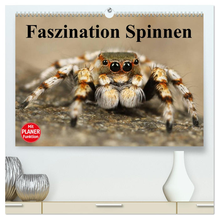 Faszination Spinnen (CALVENDO Premium Wandkalender 2024)