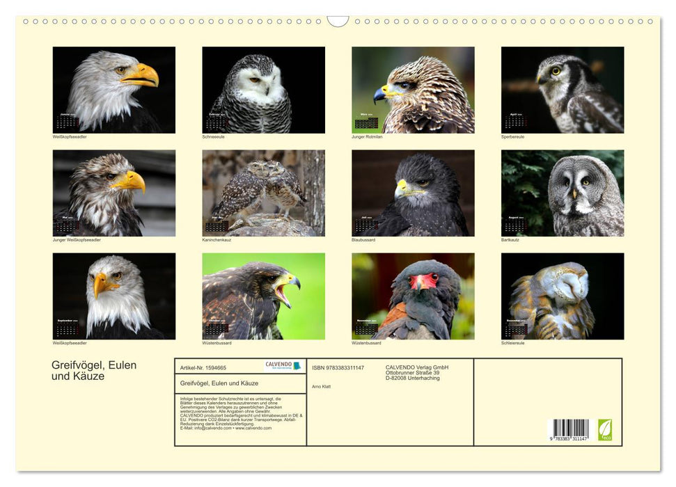 Greifvögel, Eulen und Käuze (CALVENDO Wandkalender 2024)