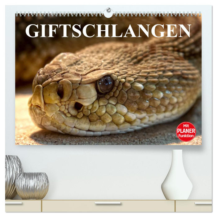 Giftschlangen (CALVENDO Premium Wandkalender 2024)