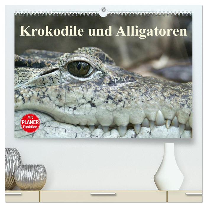 Krokodile und Alligatoren (CALVENDO Premium Wandkalender 2024)