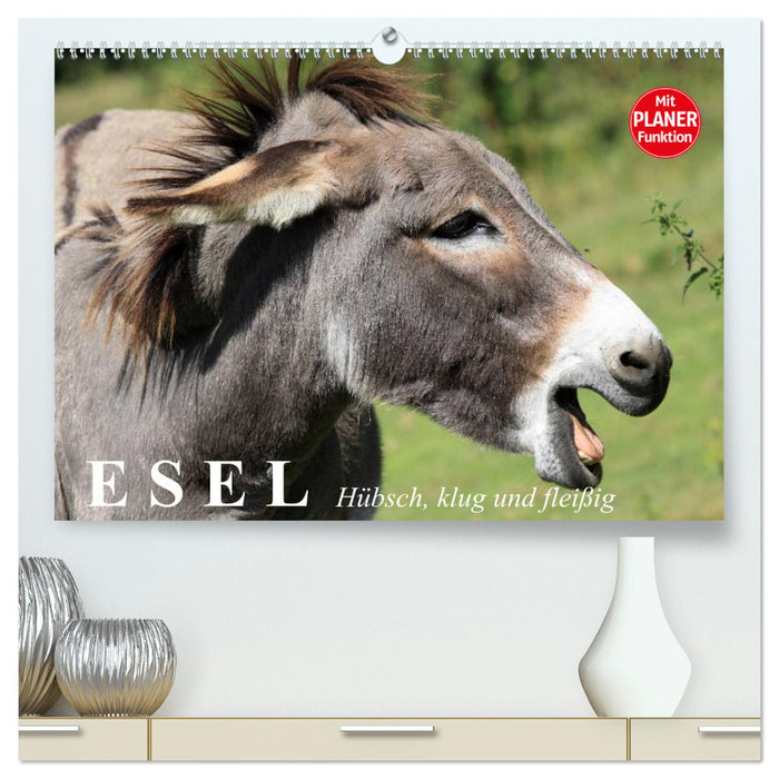 Esel. Hübsch, klug und fleißig (CALVENDO Premium Wandkalender 2024)