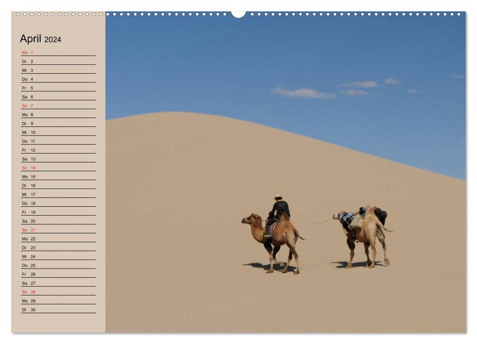 Kamele in der Wüstensonne (CALVENDO Premium Wandkalender 2024)