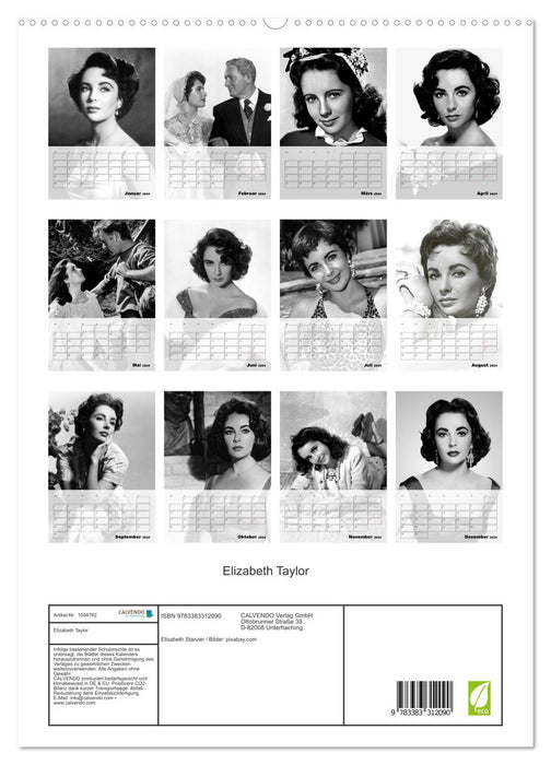 Elizabeth Taylor (CALVENDO Premium Wandkalender 2024)
