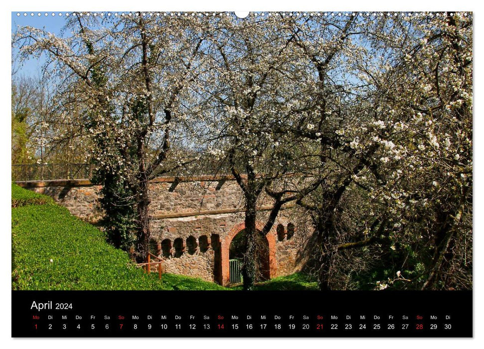 Friedberg in Hesse from the Frankfurt taxi driver (CALVENDO wall calendar 2024) 