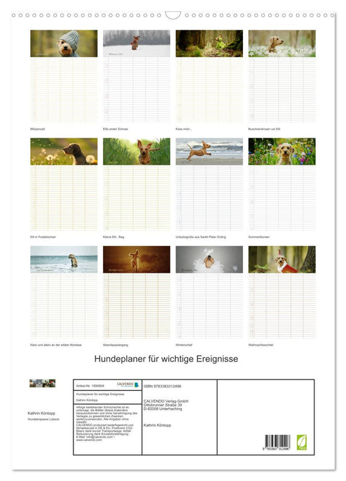 Dog planner for important events (CALVENDO wall calendar 2024) 