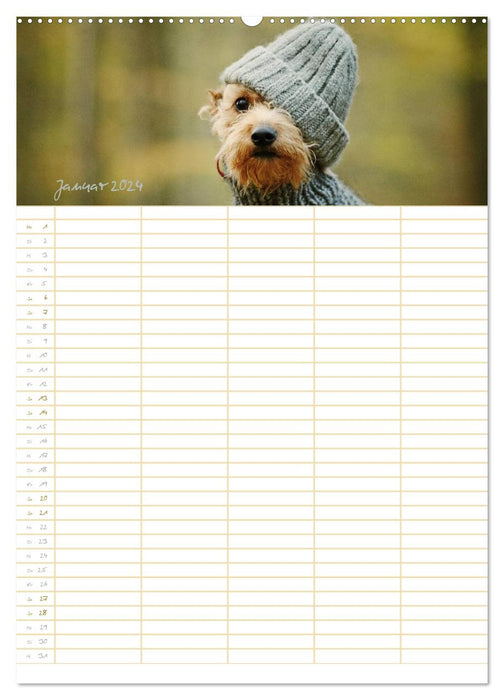 Dog planner for important events (CALVENDO wall calendar 2024) 