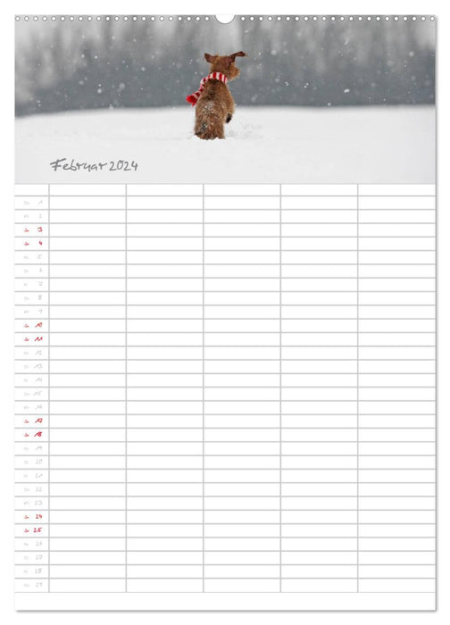 Dog planner for important events (CALVENDO wall calendar 2024) 