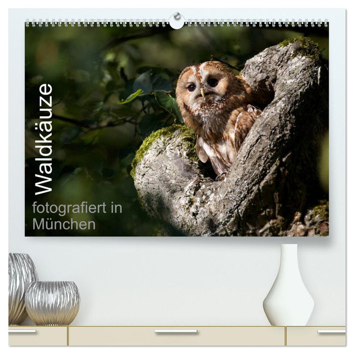 Tawny owls, photographed in Munich (CALVENDO Premium Wall Calendar 2024) 