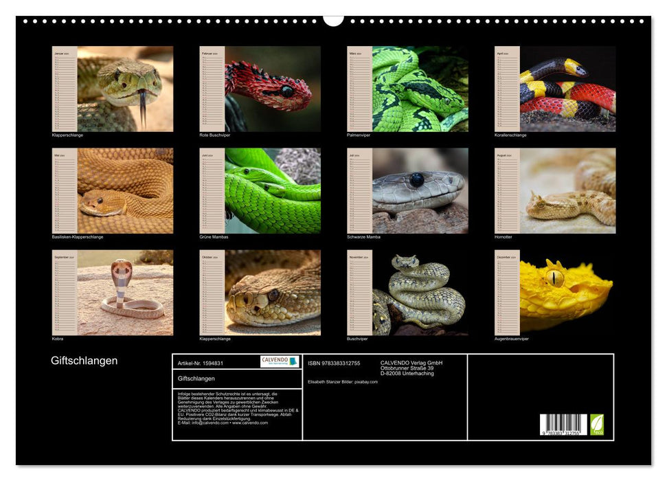 Poisonous snakes (CALVENDO wall calendar 2024) 