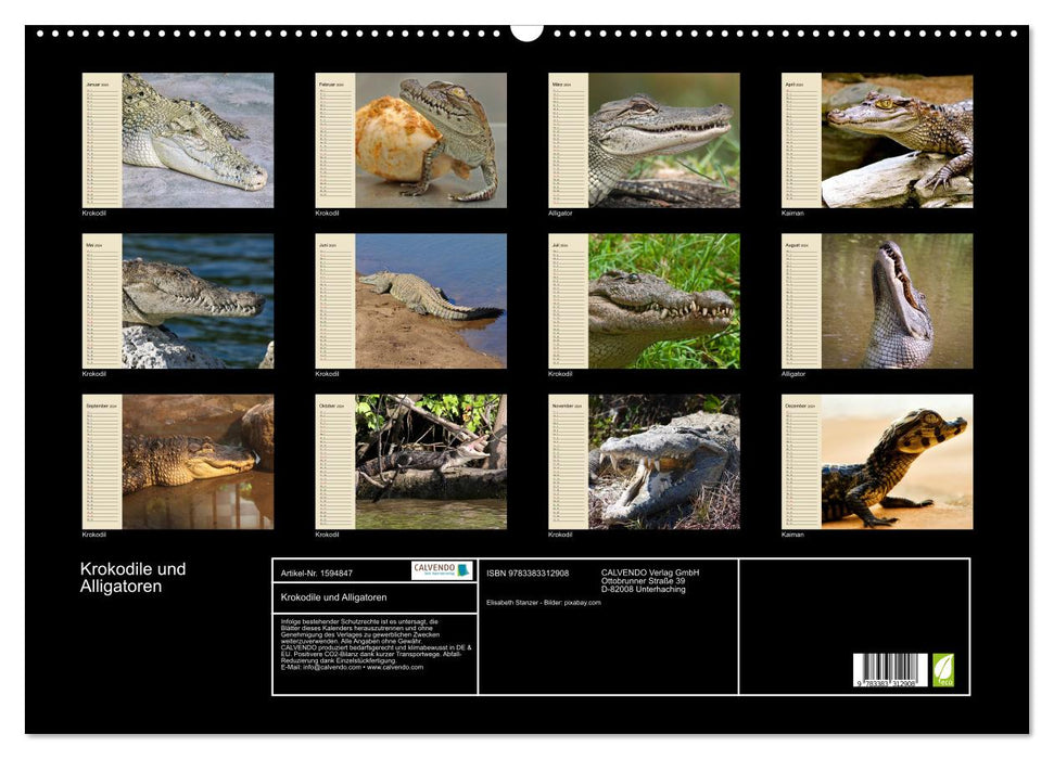 Crocodiles and alligators (CALVENDO wall calendar 2024) 