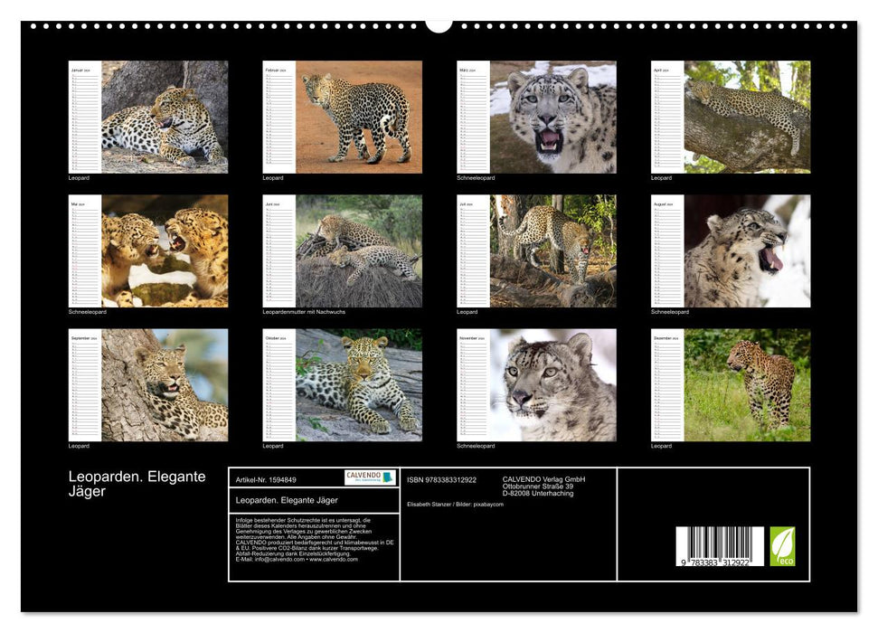 Leopards. Elegant Hunters (CALVENDO Premium Wall Calendar 2024)