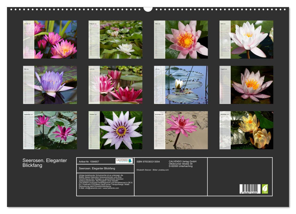 Water lilies. Elegant eye-catcher (CALVENDO wall calendar 2024) 