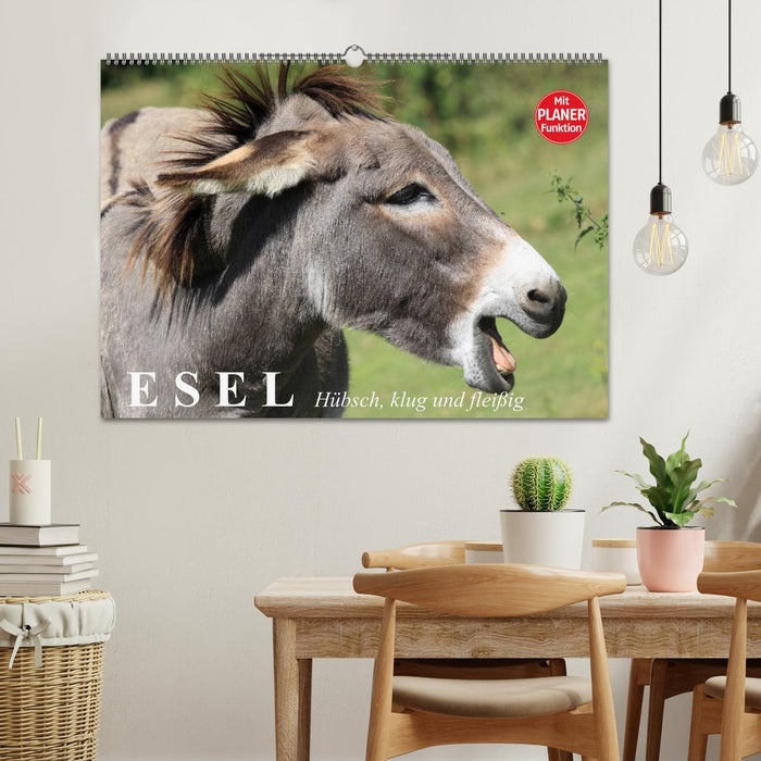 Donkey. Pretty, smart and hardworking (CALVENDO wall calendar 2024) 