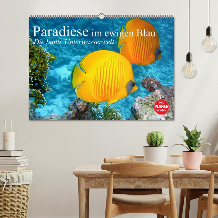 Paradise in eternal blue. The colorful underwater world (CALVENDO wall calendar 2024) 