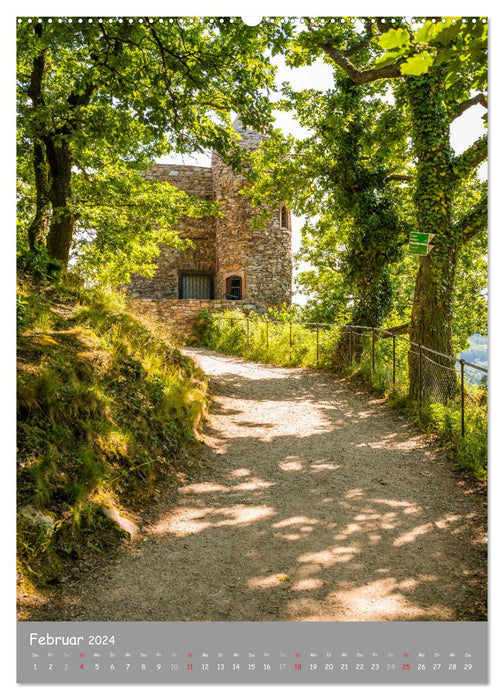 Castles and castle ruins on the Middle Rhine (CALVENDO Premium Wall Calendar 2024) 